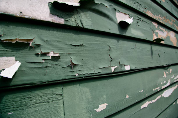 Best Wood Siding Installation  in Port Reading, NJ