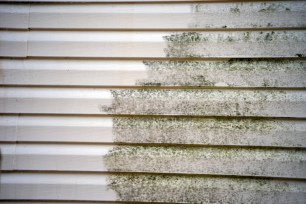  Port Reading, NJ Siding Installation Pros