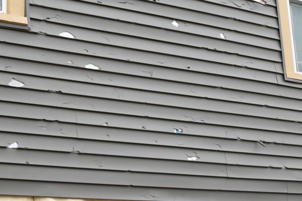 Best Insulated Siding Installation  in Port Reading, NJ