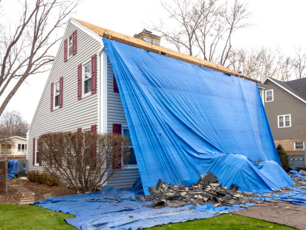 Best Stucco Siding  in Port Reading, NJ